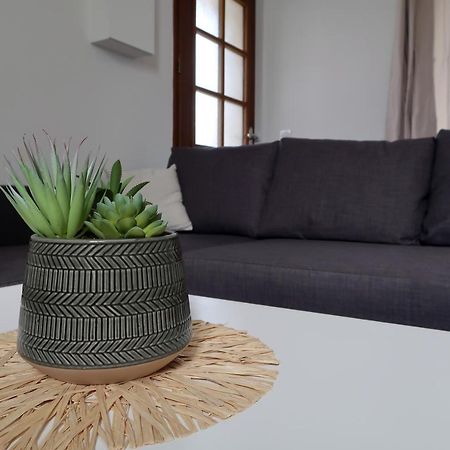 Clermont Centre- Appartement Prive 外观 照片